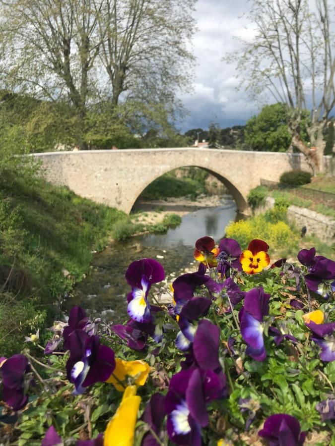 La Calade 1 Bedroom Studio - Biot Village Kültér fotó